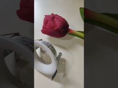 Точковий світильник Azzardo AZ0759 Ivo (76079) video 0