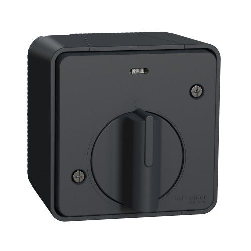 Выключатель с таймером IP55, наружный монтаж, черный Mureva Styl Schneider Electric MUR35067