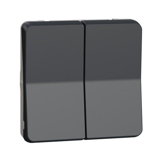 Механизм двухклавишного переключателя IP55, черный Mureva Styl Schneider Electric MUR35019