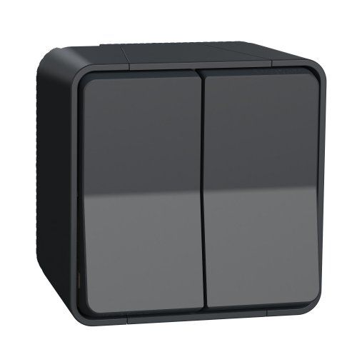 Двухклавишный переключатель IP55, наружный монтаж, черный Mureva Styl Schneider Electric MUR35022