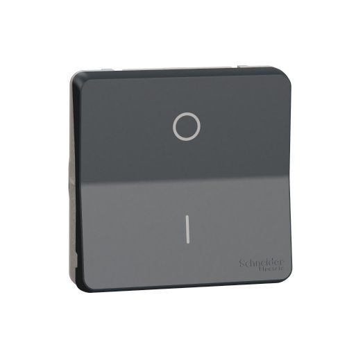 Механизм переключателя двухполюсный IP55, черный Mureva Styl Schneider Electric MUR35034