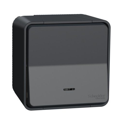 Кнопочный выкл. с подсветкой IP55, наружный монтаж, черный Mureva Styl Schneider Electric MUR35028