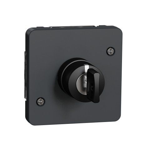Механизм выключателя с ключом на 3 положения IP55, черный Mureva Styl Schneider Electric MUR35061