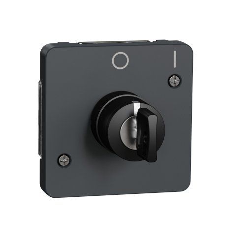 Механизм выключателя с ключом на 2 положения IP55, черный Mureva Styl Schneider Electric MUR35062