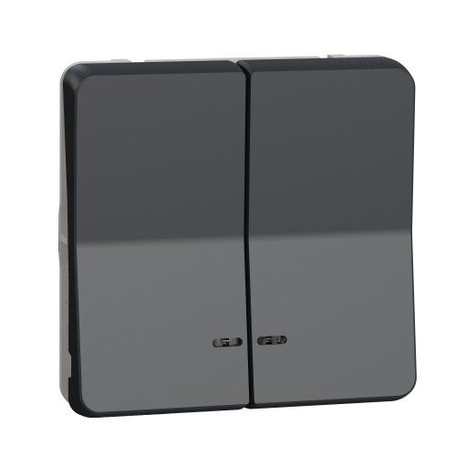 Механизм 2-го кнопочного выкл. с подсветкой IP55, черный Mureva Styl Schneider Electric MUR35228