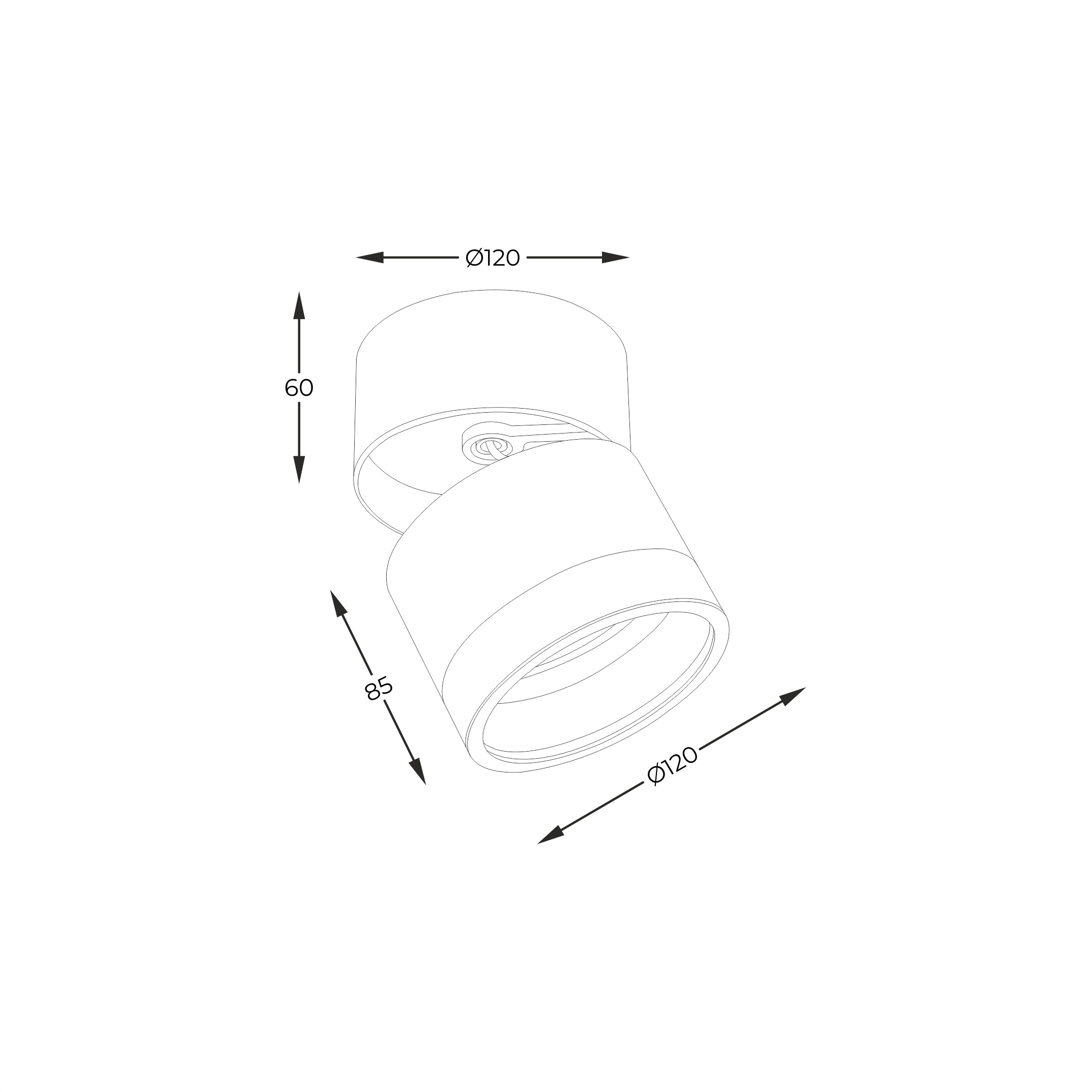 Точковий світильник Zuma Line 20001-WH-N LOMO купити
