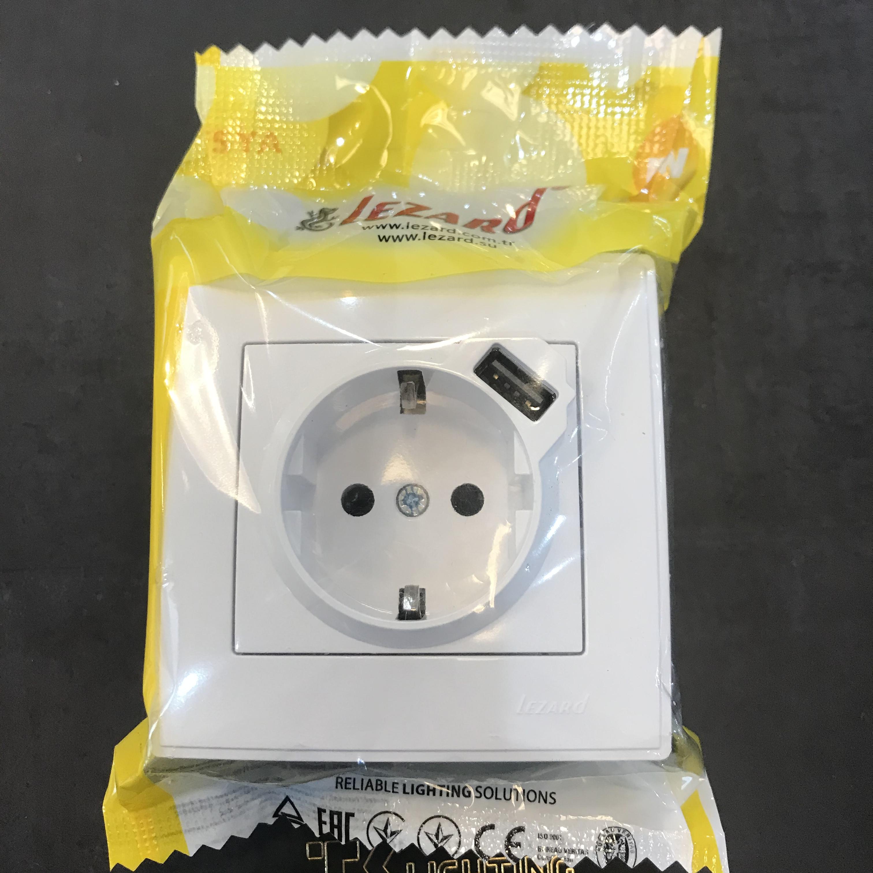 Розетка с заземлением + USB Lezard Lesya, белый (705-0202-181) купити