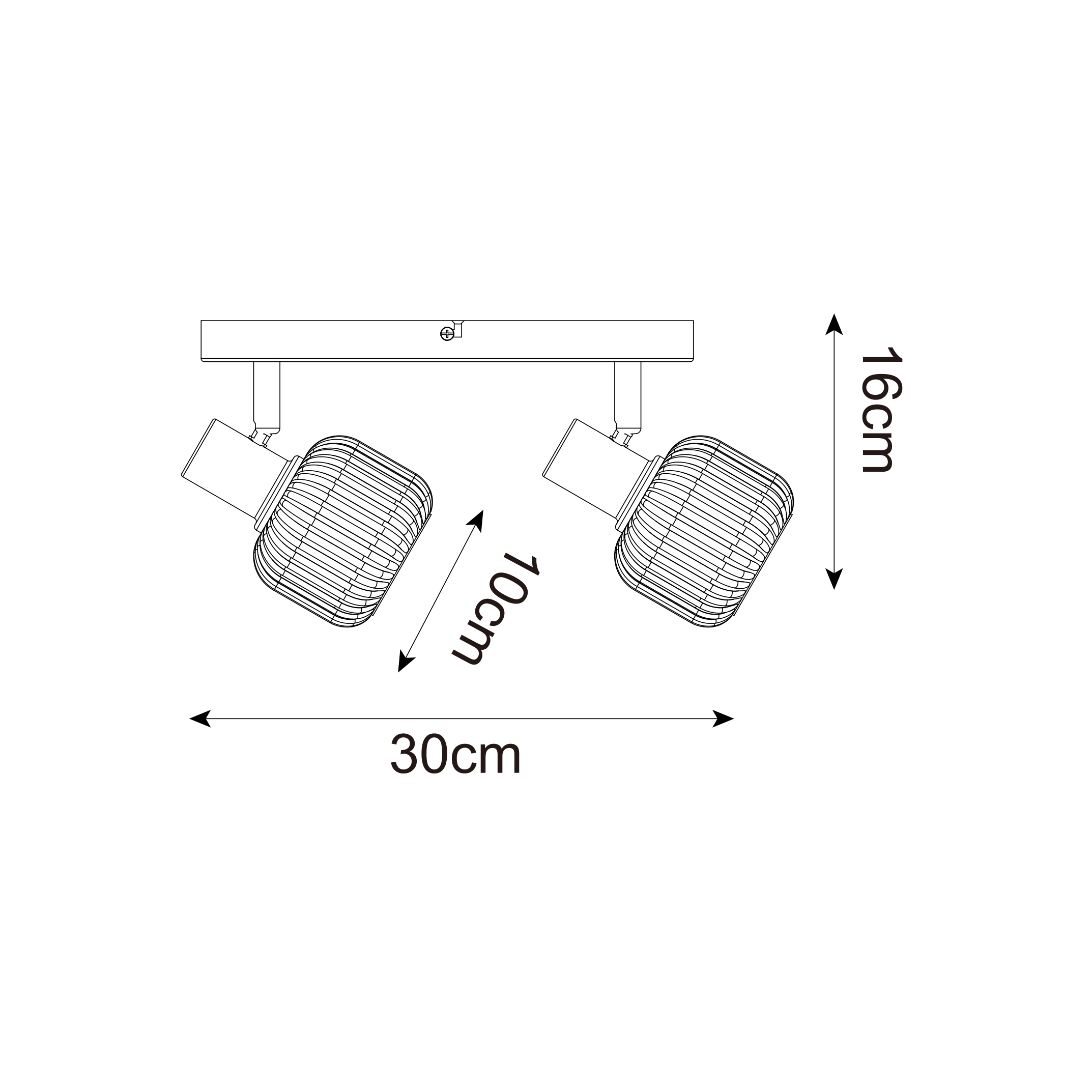 Спот Zuma Line R5021009A-2B STEM купити