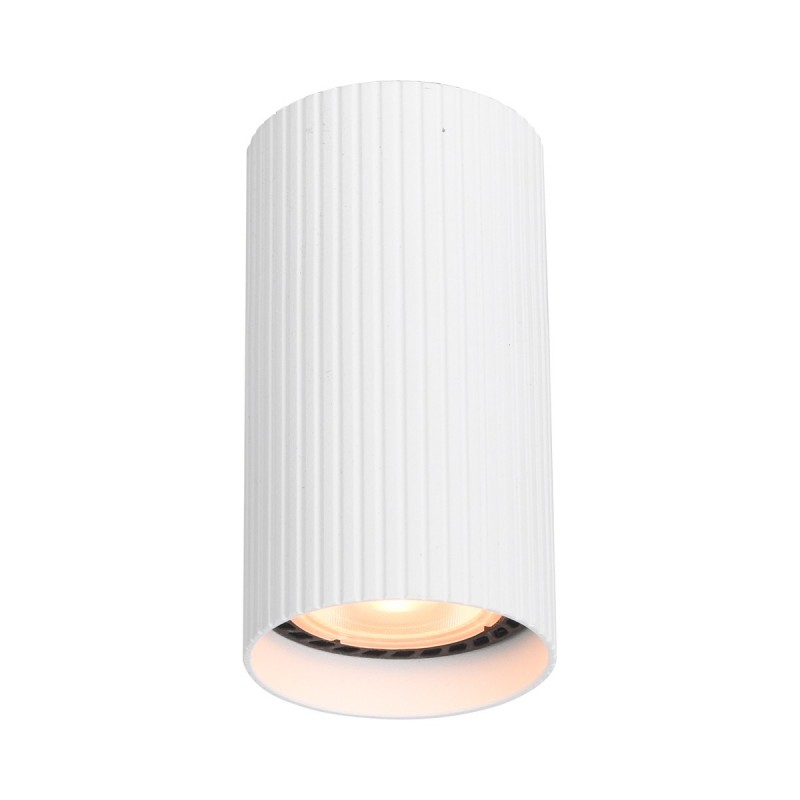 Точковий світильник ITALUX CLN-83920-S-WH Rilok купити