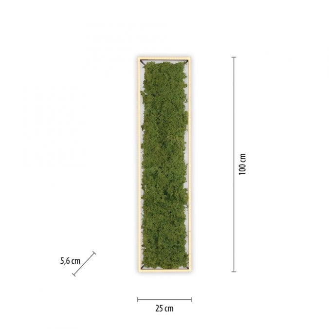 Люстра Zuma Line 15623-66 GREEN KNUT купити