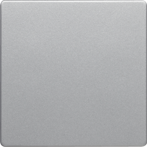 Клавіша 1Х, алюміній, Q.x 16206084 купити