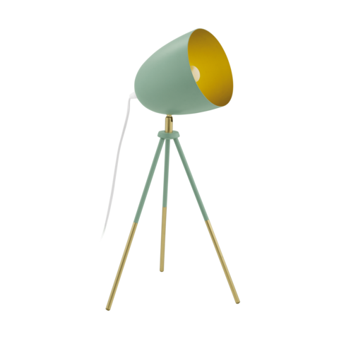 Настольная лампа Eglo CHESTER-P 49047 купити