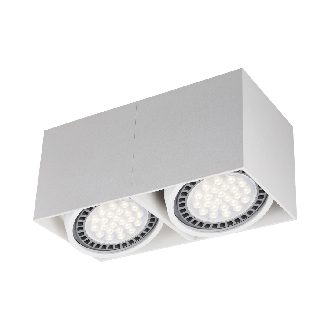 Точковий світильник Zuma Line ACGU10-116-N BOX купити