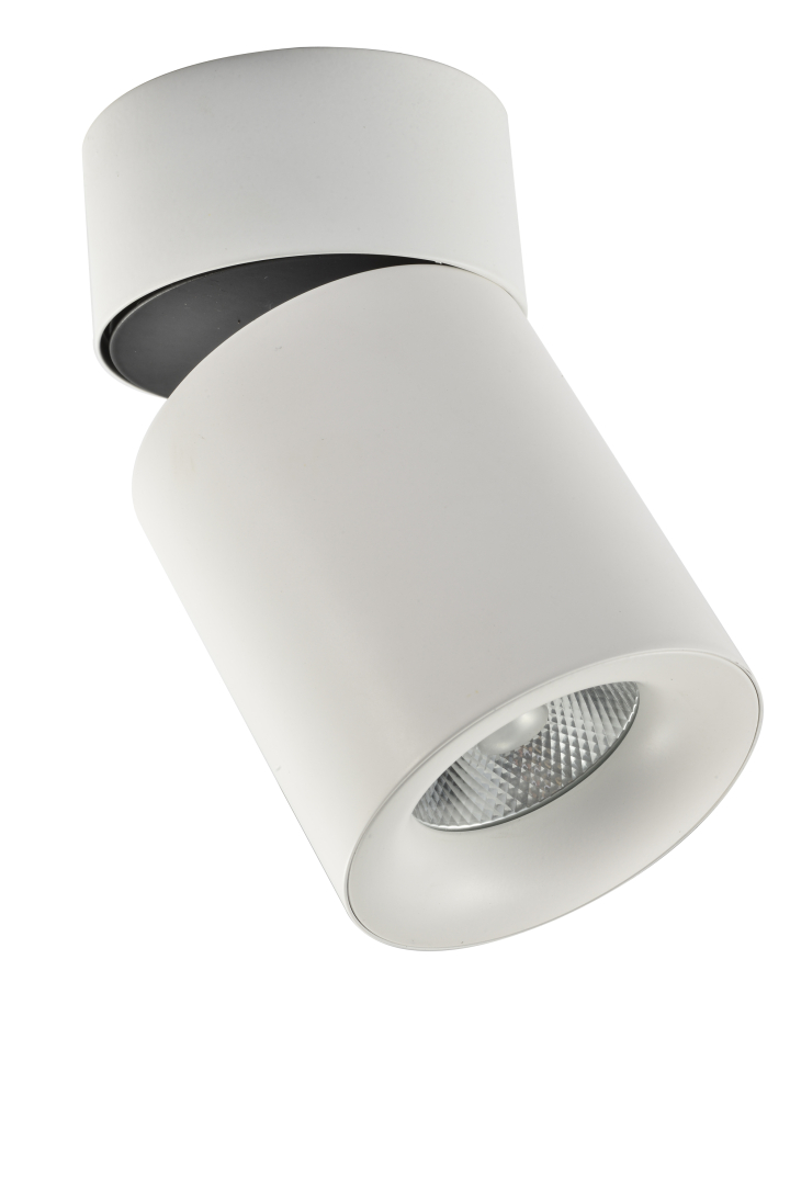 Спот ESL CS0291 купити