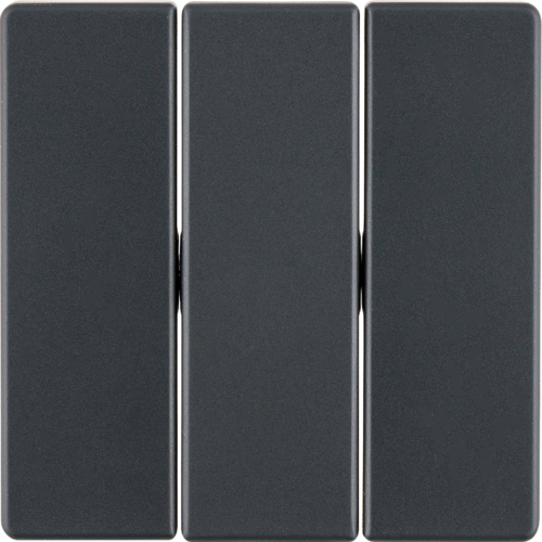 Клавіша 3Х, антрацит, Q.x 16656086 купити