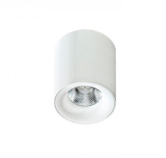 Накладний світильник ESL CS248438 купити