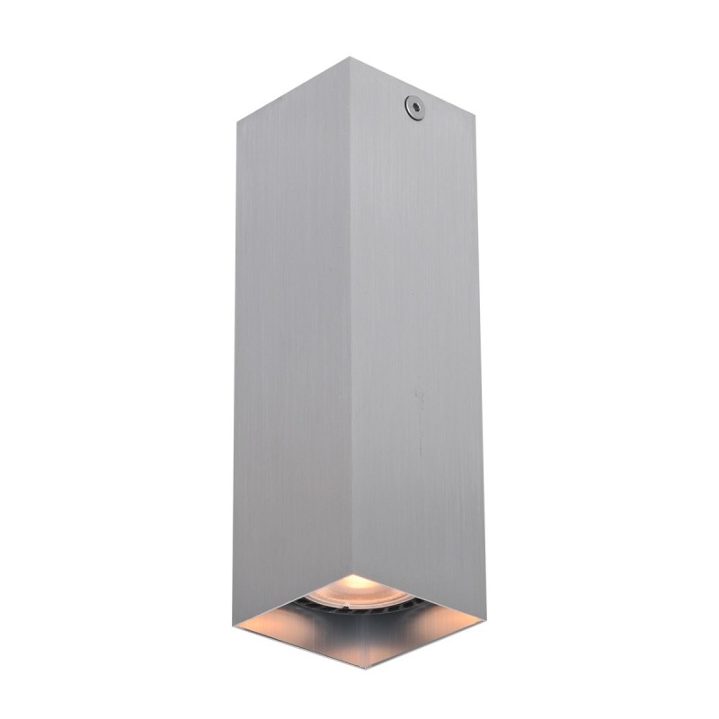 Точковий світильник ITALUX CLN-28394-M-ALU Ander купити