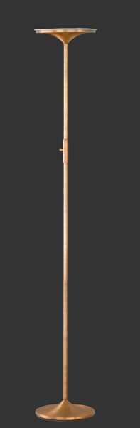 Торшер TRIO 429110104 ARANGO купити