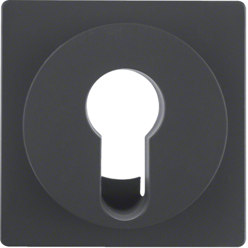 Накладка для замочного вимикача, антрацит, Q.x 15076086 купити