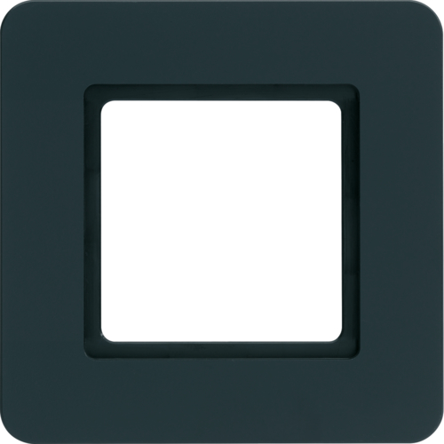 Рамка під LED-модуль 1Х пластикова антрацит, Q.7 10116106 купити