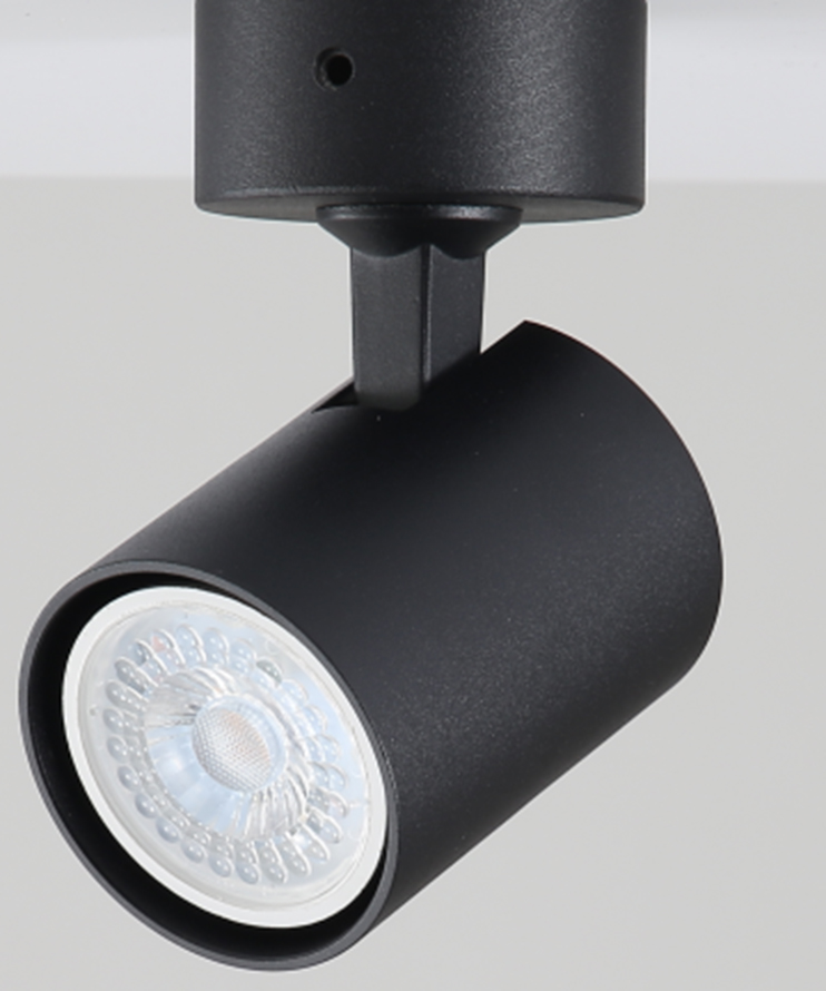 Спот ESL CS264902 GU10 купити