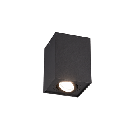 Точечный светильник TRIO 613000132 BISCUIT купити