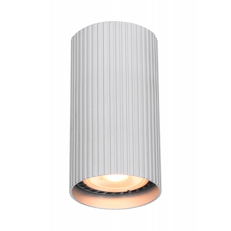 Точковий світильник ITALUX CLN-83920-S-ALU Rilok купити