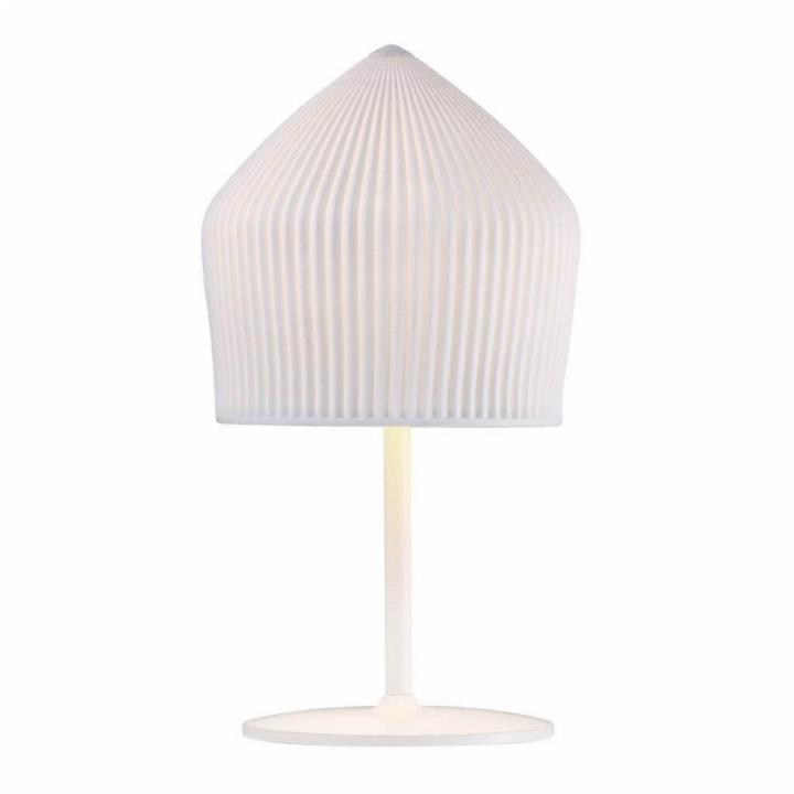 Настольная лампа DFTP REYKJAVIK 46155001 купити