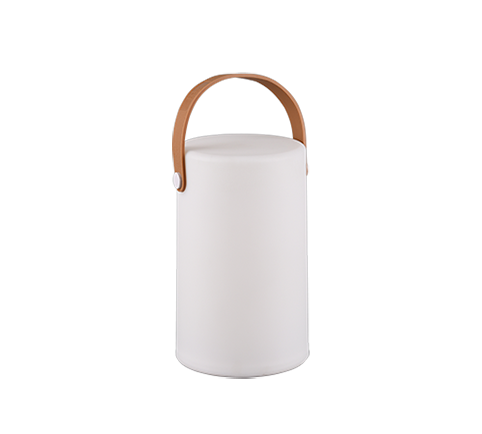 Настольная лампа REALITY R57080101 ARUBA купити