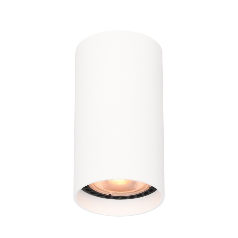 Точковий світильник ITALUX CLN-48930-S-WH Lopus купити