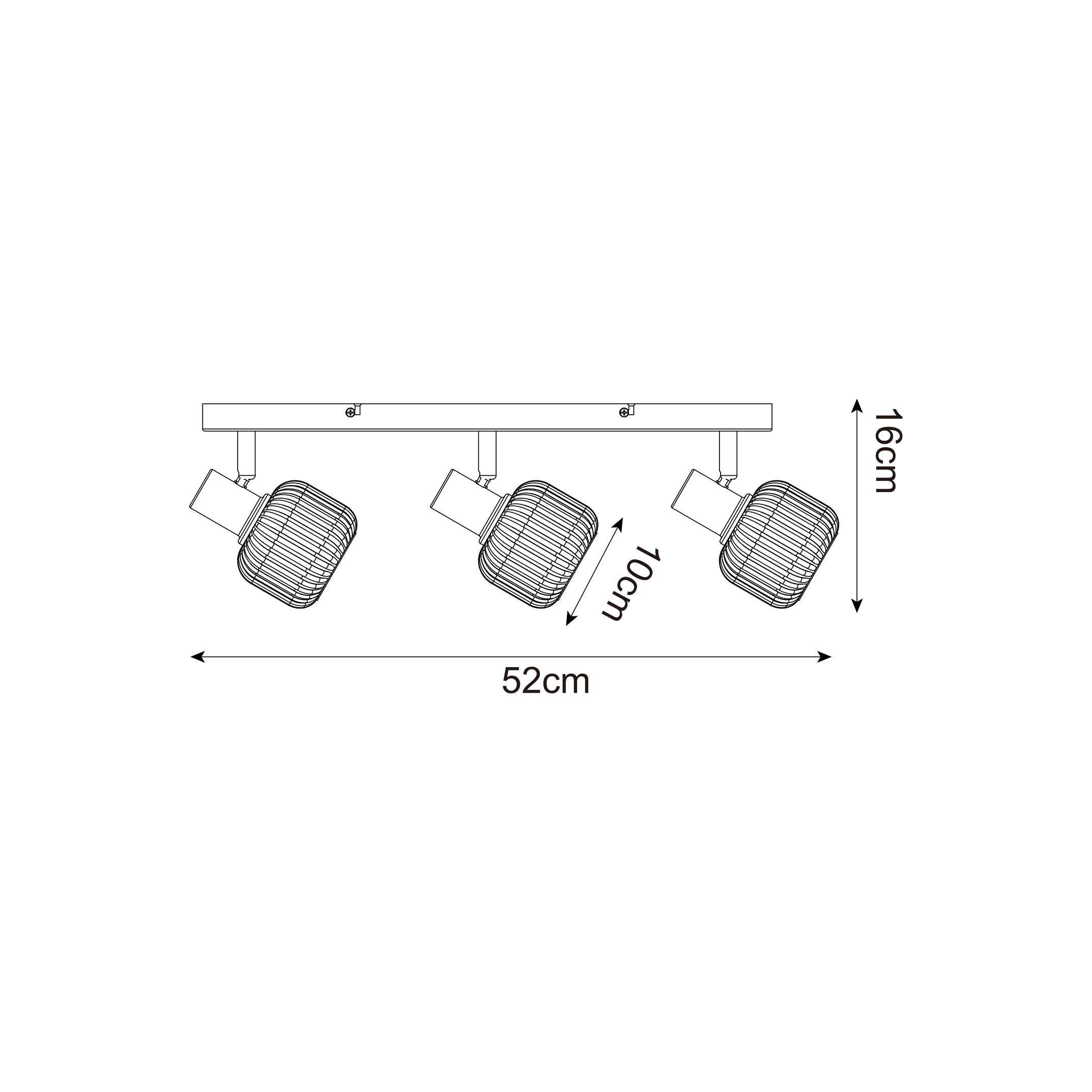 Спот Zuma Line R5021009A-3B STEM купити