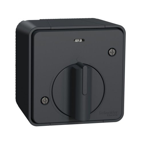 Выключатель с таймером IP55, наружный монтаж, черный Mureva Styl Schneider Electric MUR35067 купити