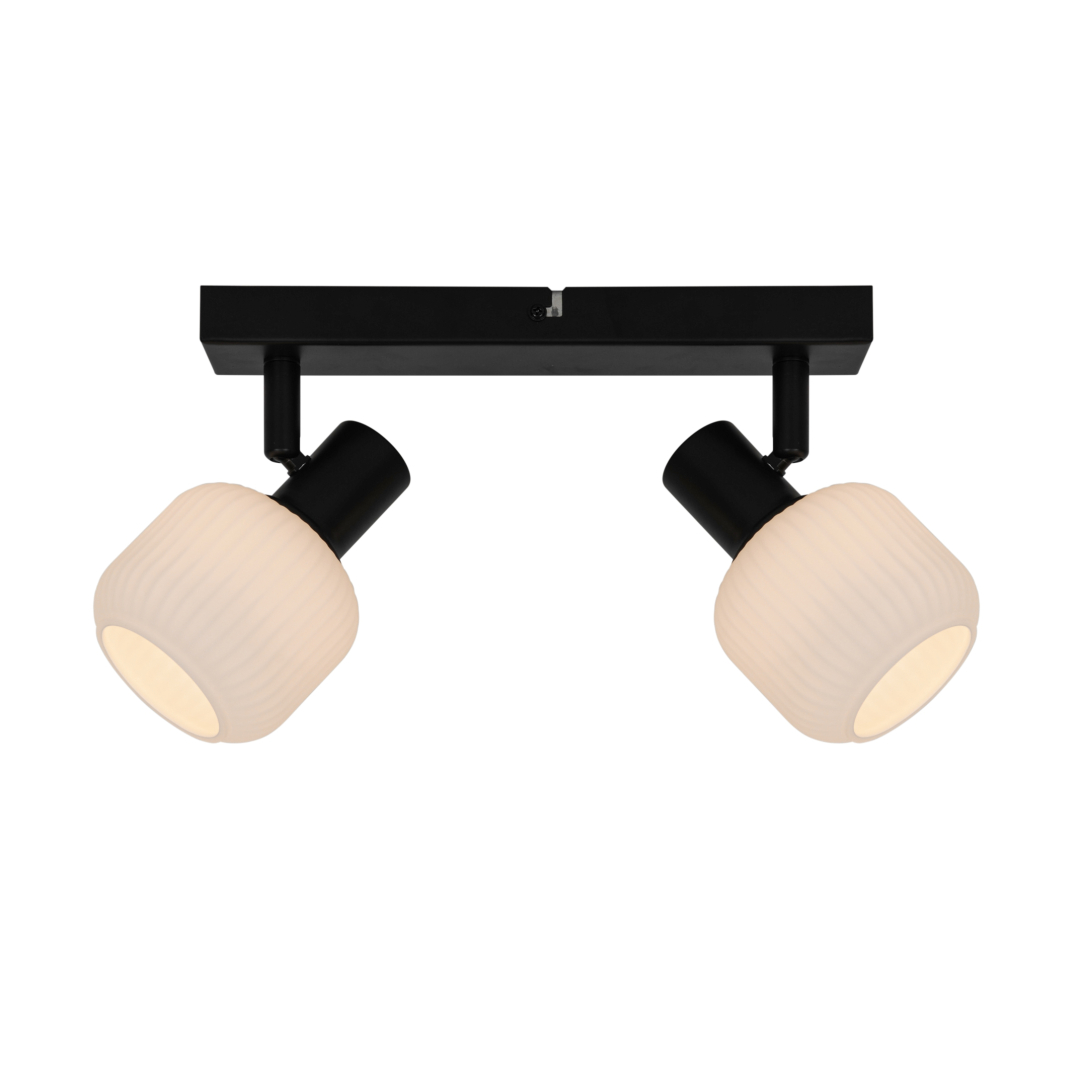 Спот Zuma Line R5021009A-2B STEM купити