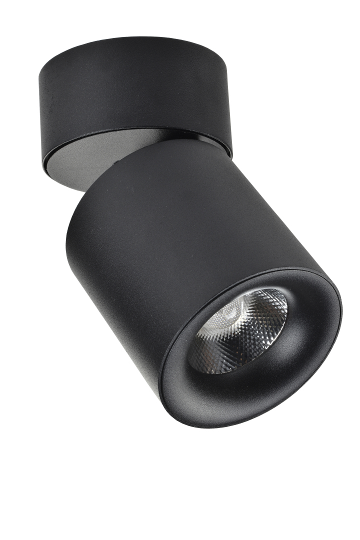 Спот ESL CS0292 купити