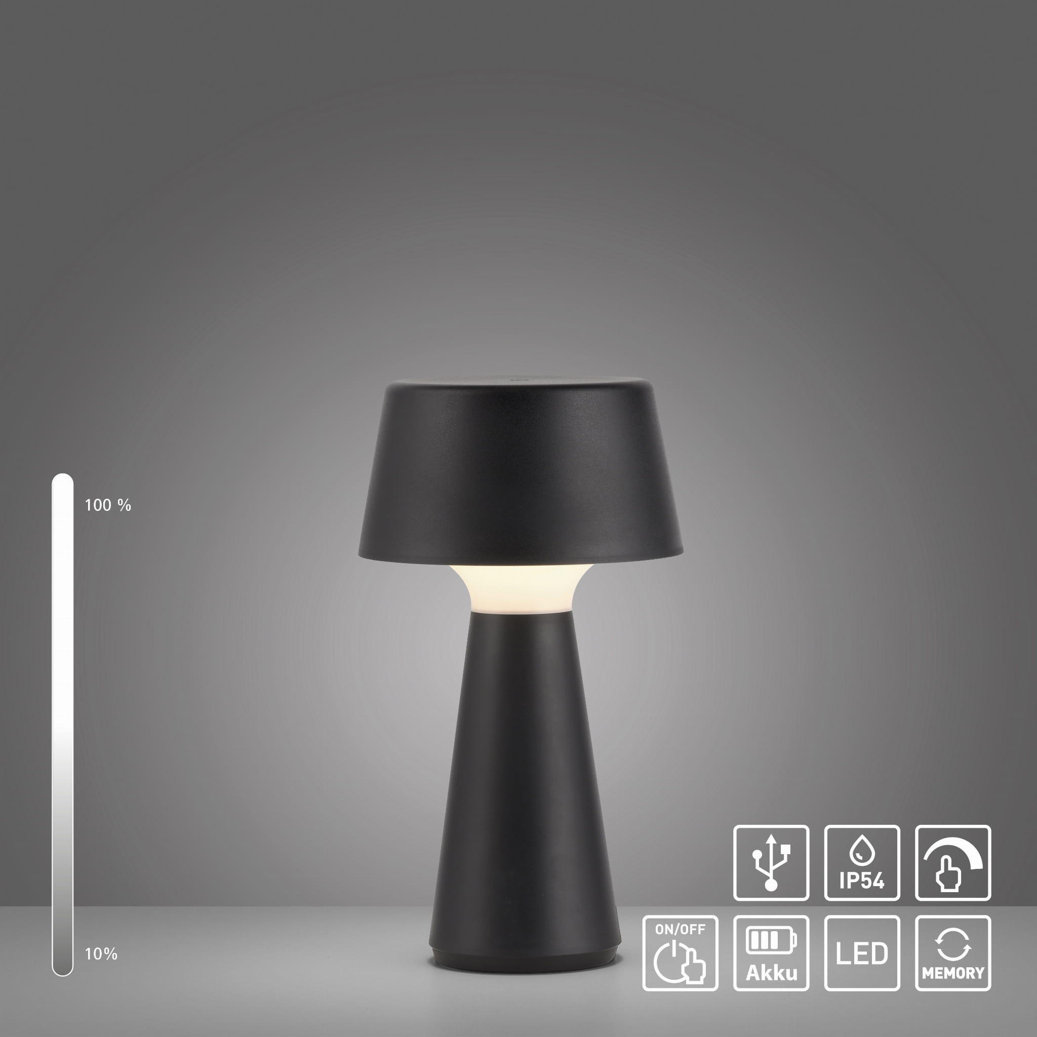 Настільна лампа Zuma Line 19260-18 ABERA купити